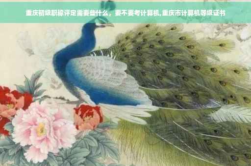 重庆初级职称评定需要些什么，要不要考计算机,重庆市计算机等级证书