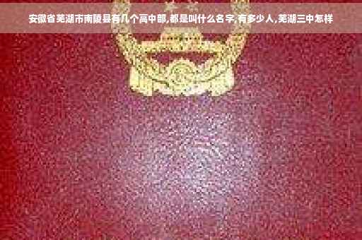 安徽省芜湖市南陵县有几个高中部,都是叫什么名字,有多少人,芜湖三中怎样
