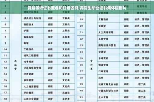 舞蹈等级证书蓝色和红色区别,舞蹈生毕业证书集体照图片