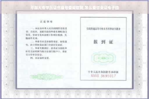 平舆大专学历证书编号查询官网,怎么查毕业证电子档