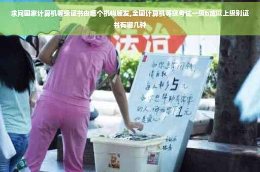 求问国家计算机等级证书由哪个机构颁发,全国计算机等级考试一级b或以上级别证书有哪几种