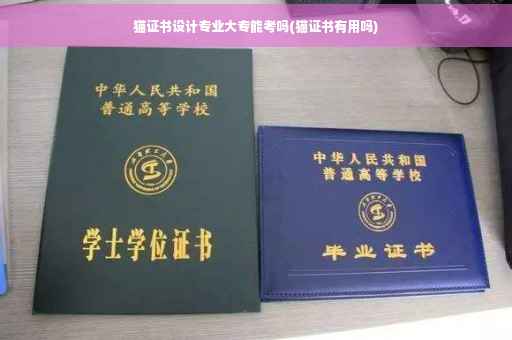 猫证书设计专业大专能考吗(猫证书有用吗)