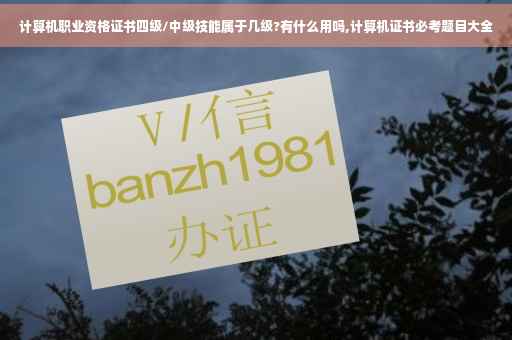 计算机职业资格证书四级/中级技能属于几级?有什么用吗,计算机证书必考题目大全