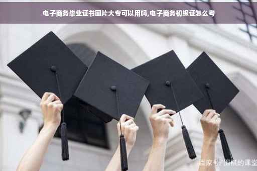 电子商务毕业证书图片大专可以用吗,电子商务初级证怎么考