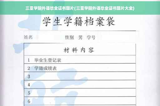 三亚学院外语毕业证书图片(三亚学院外语毕业证书图片大全)