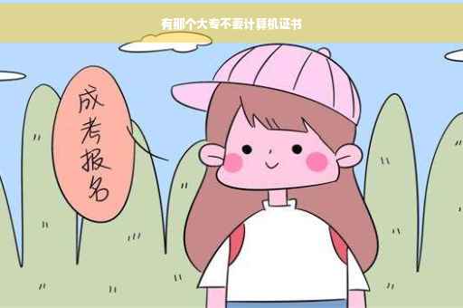 有那个大专不要计算机证书