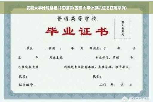 安徽大学计算机证书在哪拿(安徽大学计算机证书在哪拿的)