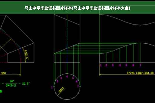 马山中学毕业证书图片样本(马山中学毕业证书图片样本大全)