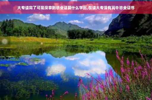 大专读完了可是没拿到毕业证算什么学历,在读大专没有高中毕业证书