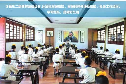 计算机二级都有哪些证书,计算机掌握程度、掌握何种外语及程度、社会工作经历、学习经历，具体怎么填