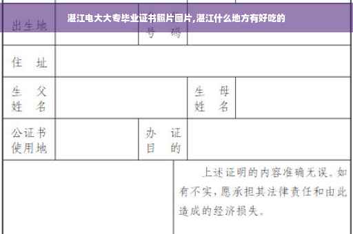 湛江电大大专毕业证书照片图片,湛江什么地方有好吃的
