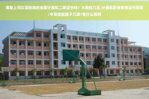 淘宝上可以买到真的全国计算机二级证书吗？大概在几百,计算机职业资格证书四级/中级技能属于几级?有什么用吗