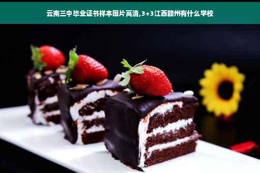 云南三中毕业证书样本图片高清,3+3江西赣州有什么学校