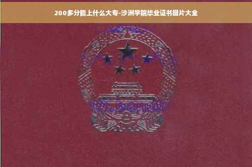200多分能上什么大专-沙洲学院毕业证书图片大全