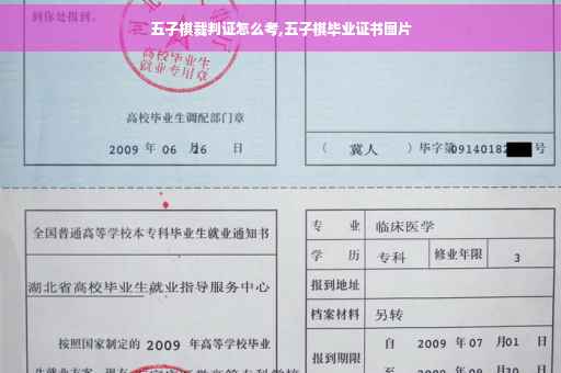 五子棋裁判证怎么考,五子棋毕业证书图片