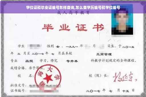 学位证和毕业证编号怎样查询,怎么查学历编号和学位编号