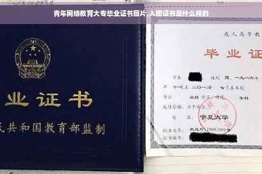 青年网络教育大专毕业证书图片,入团证书是什么样的