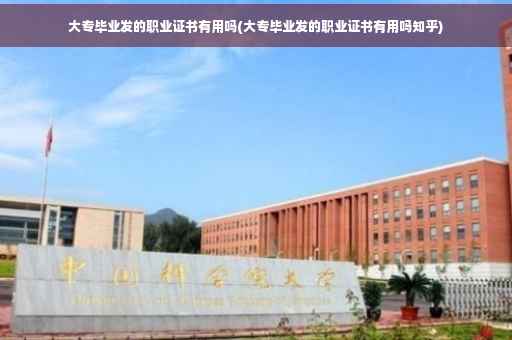 大专毕业发的职业证书有用吗(大专毕业发的职业证书有用吗知乎)