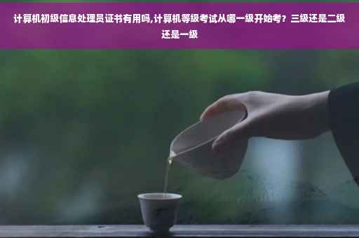 计算机初级信息处理员证书有用吗,计算机等级考试从哪一级开始考？三级还是二级还是一级