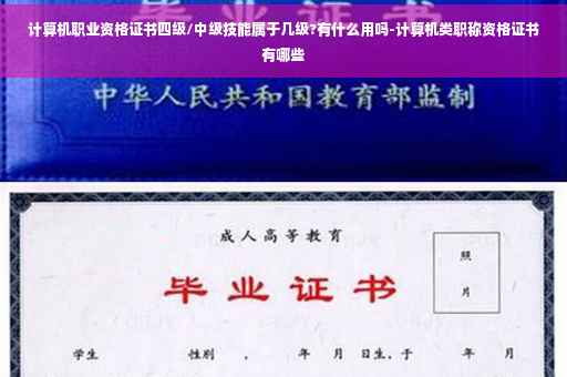 计算机职业资格证书四级/中级技能属于几级?有什么用吗-计算机类职称资格证书有哪些