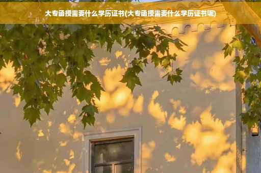 大专函授需要什么学历证书(大专函授需要什么学历证书呢)