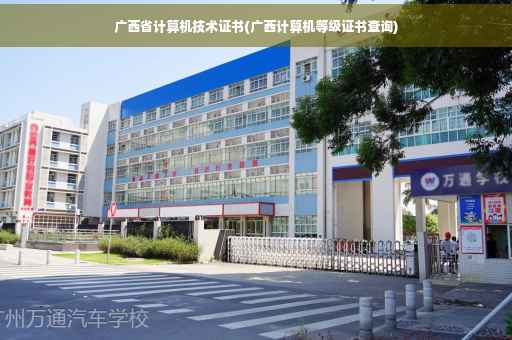 广西省计算机技术证书(广西计算机等级证书查询)