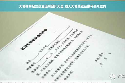 大专教育层次毕业证书图片大全,成人大专毕业证编号是几位的