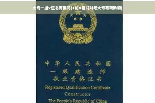 大专一加x证书有用吗(1加x证书对考大专有帮助嘛)