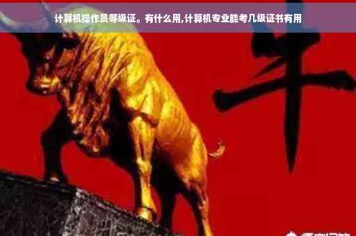 计算机操作员等级证。有什么用,计算机专业能考几级证书有用