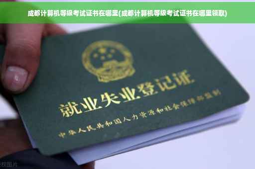 成都计算机等级考试证书在哪里(成都计算机等级考试证书在哪里领取)
