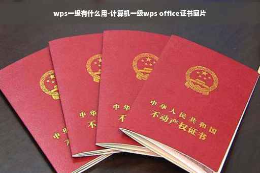 wps一级有什么用-计算机一级wps office证书图片