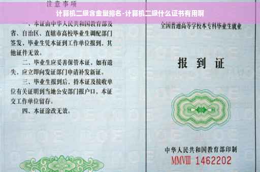计算机二级含金量排名-计算机二级什么证书有用啊