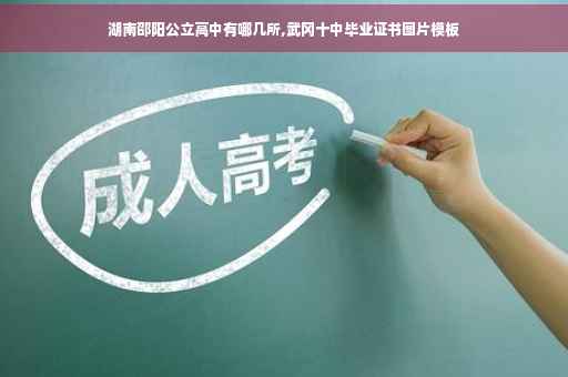 湖南邵阳公立高中有哪几所,武冈十中毕业证书图片模板