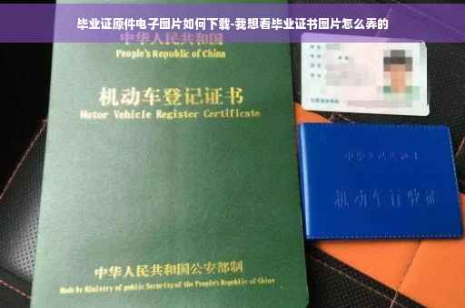 毕业证原件电子图片如何下载-我想看毕业证书图片怎么弄的