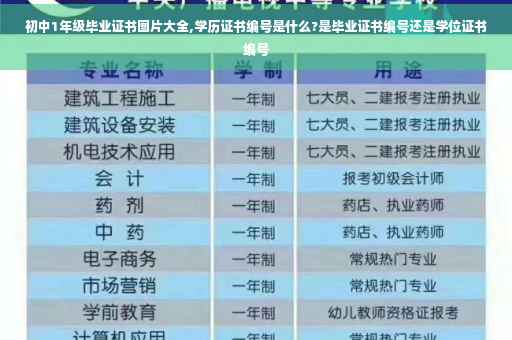 初中1年级毕业证书图片大全,学历证书编号是什么?是毕业证书编号还是学位证书编号