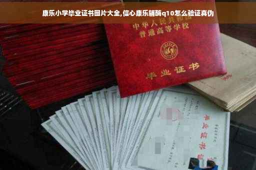 康乐小学毕业证书图片大全,信心康乐辅酶q10怎么验证真伪