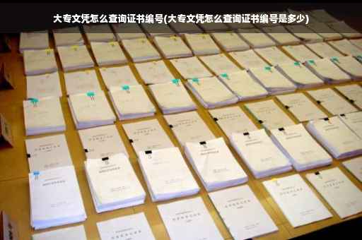 大专文凭怎么查询证书编号(大专文凭怎么查询证书编号是多少)