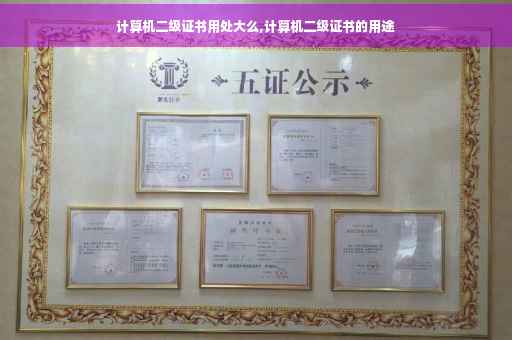 计算机二级证书用处大么,计算机二级证书的用途