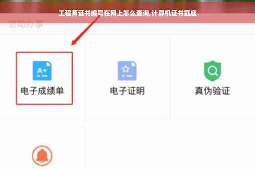 工程师证书编号在网上怎么查询,计算机证书插座