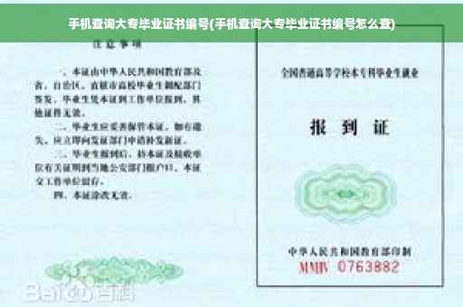 手机查询大专毕业证书编号(手机查询大专毕业证书编号怎么查)