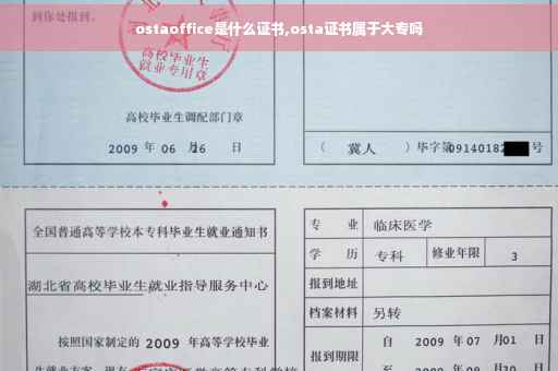 ostaoffice是什么证书,osta证书属于大专吗