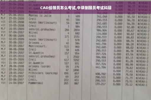 CAD绘图员怎么考试,中级制图员考试科目