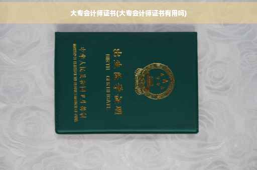 大专会计师证书(大专会计师证书有用吗)