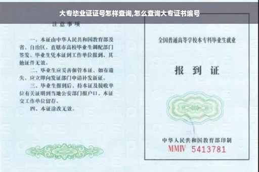大专毕业证证号怎样查询,怎么查询大专证书编号