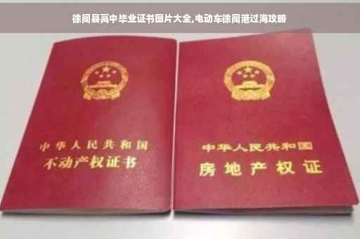 徐闻县高中毕业证书图片大全,电动车徐闻港过海攻略