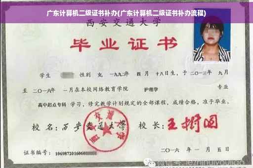 广东计算机二级证书补办(广东计算机二级证书补办流程)