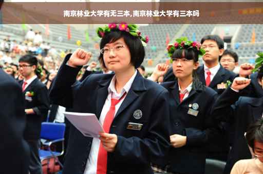 南京林业大学有无三本,南京林业大学有三本吗