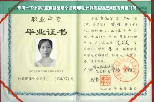 想问一下计算机应用基础这个证有用吗,计算机基础应用统考有证书吗
