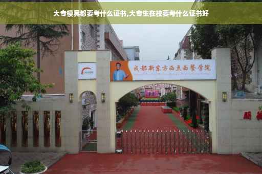 大专模具都要考什么证书,大专生在校要考什么证书好
