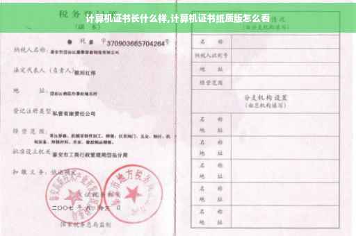 计算机证书长什么样,计算机证书纸质版怎么看 计算机证书长什么样,计算机证书纸质版怎么看